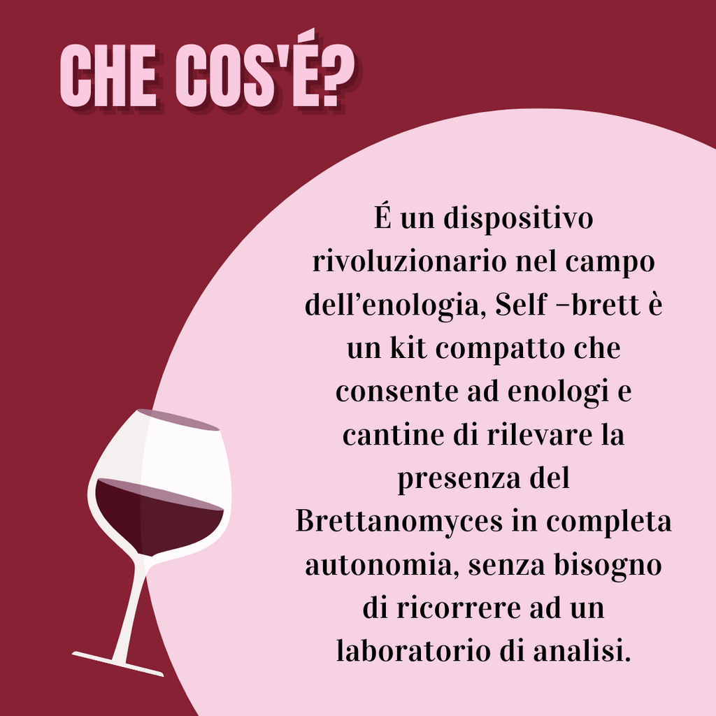 Self-Brett - KIT DI PROVA
