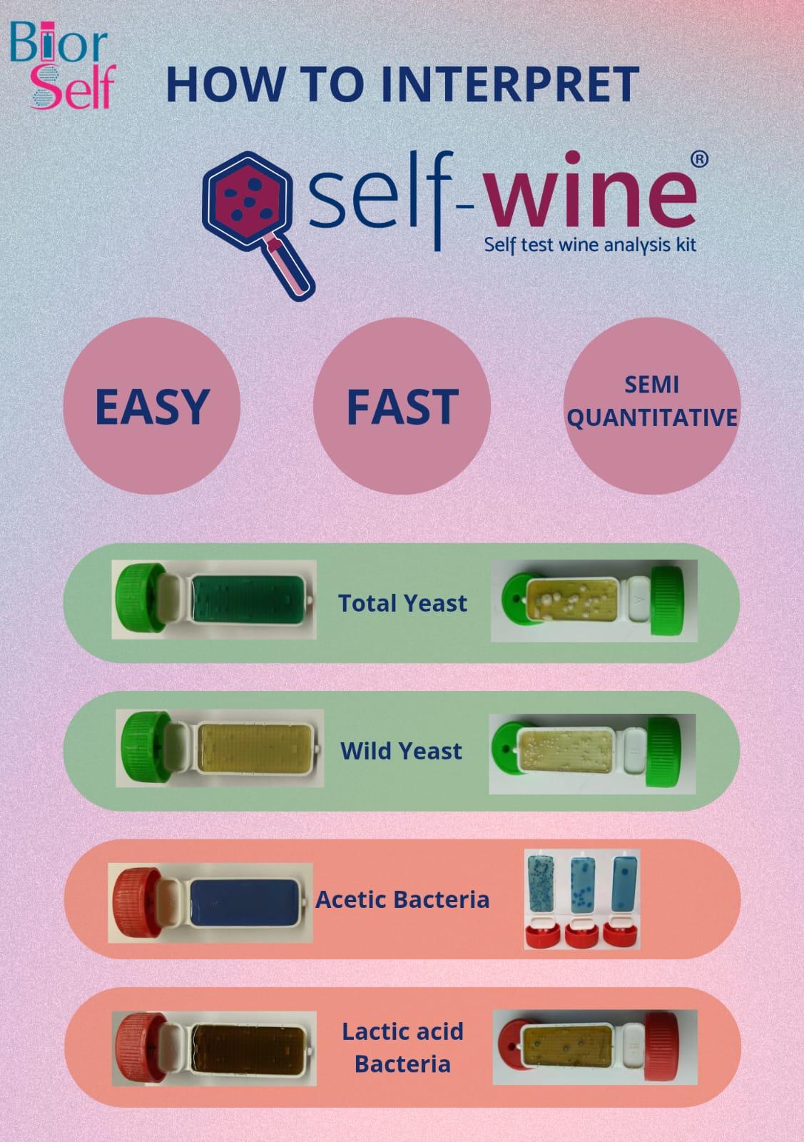 Self-Wine