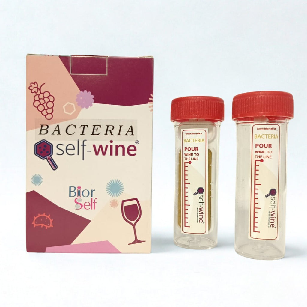 Self-Wine Bacteria